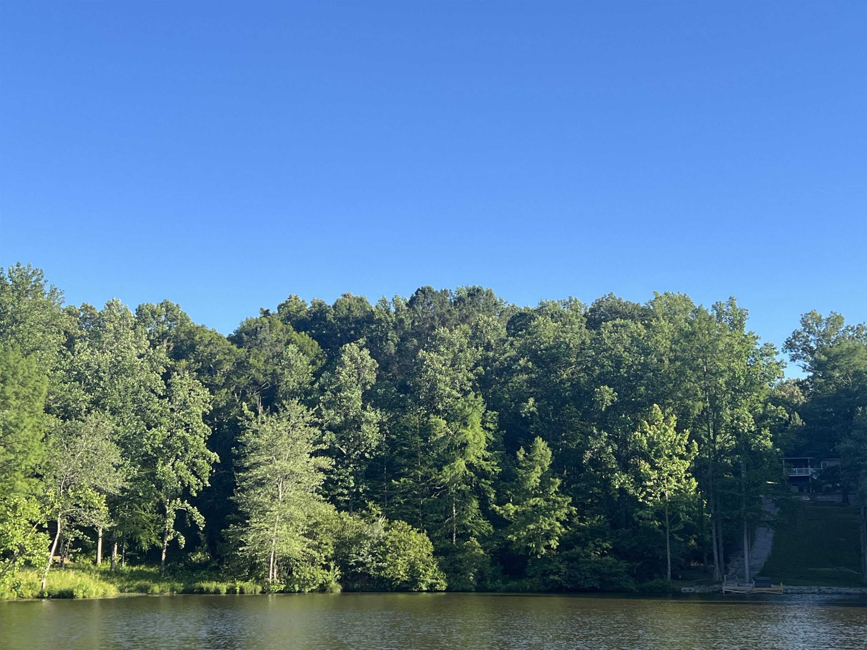 0 Excalibur Trail Cedar Grove, TN 38321 - Photo 5 of 10 an aerial view of a residential houses with outdoor space and trees