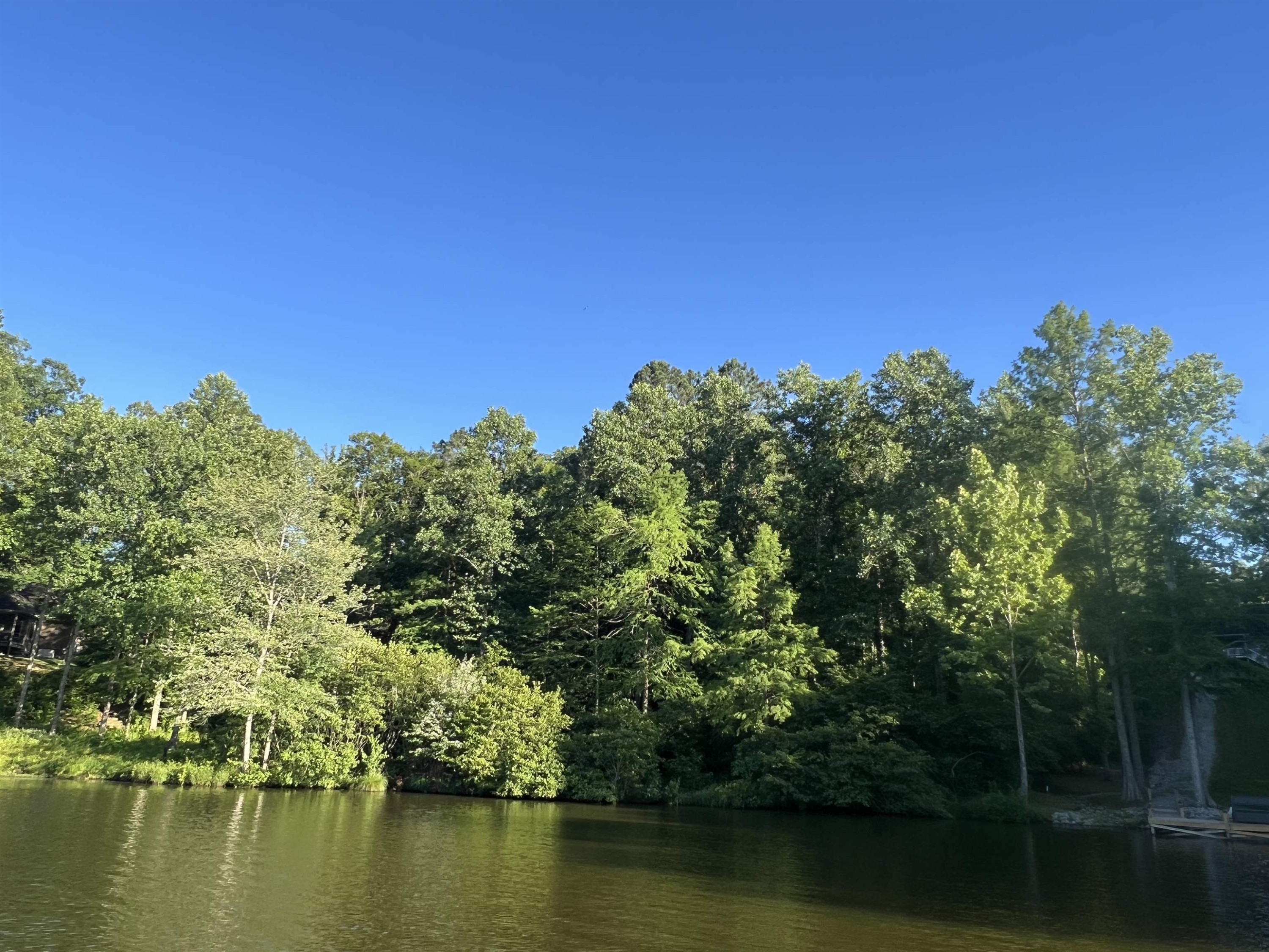 0 Excalibur Trail Cedar Grove, TN 38321 - Photo 6 of 10 a view of a lake with houses in the background