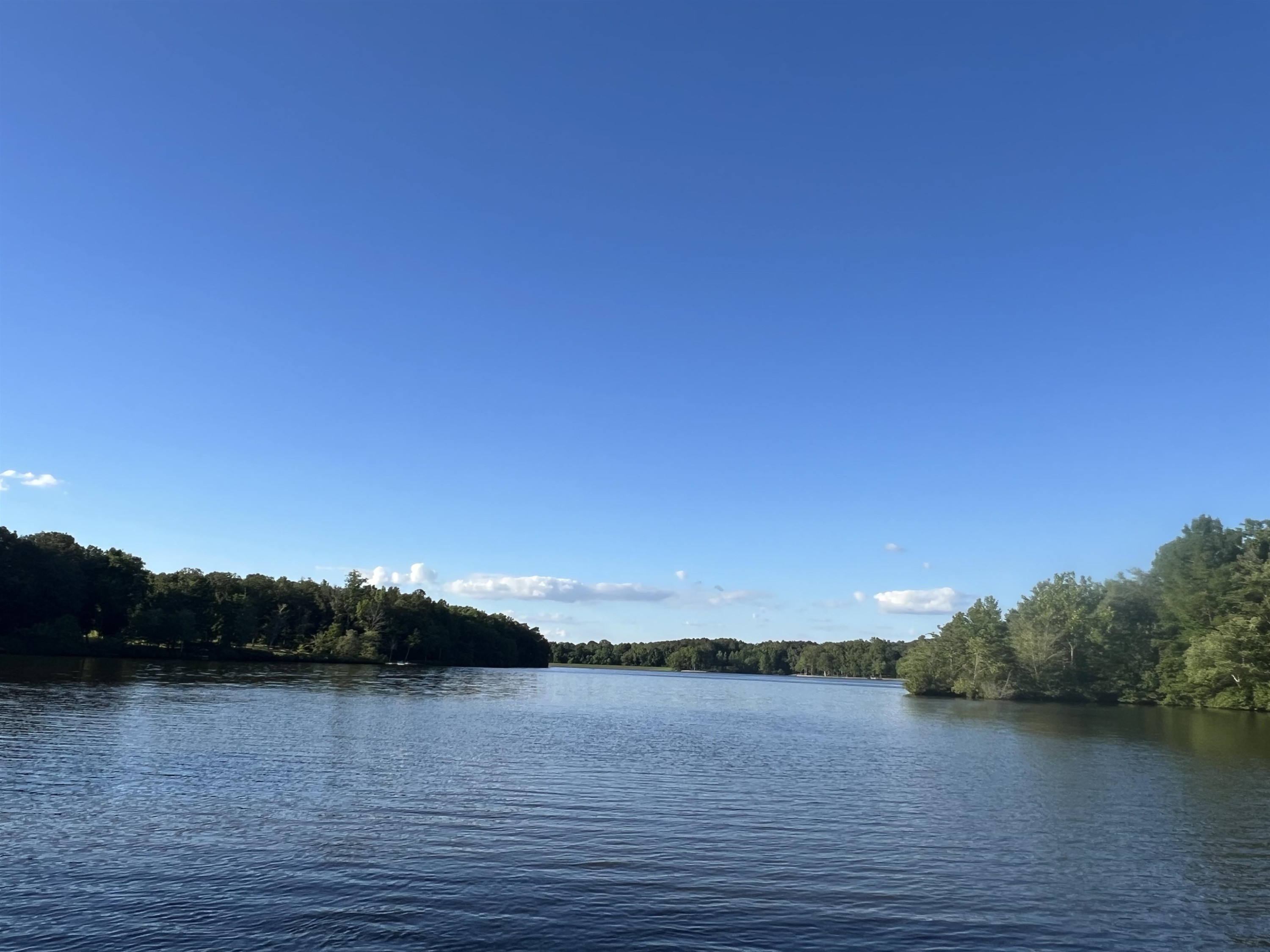 0 Excalibur Trail Cedar Grove, TN 38321 - Photo 8 of 10 a view of lake