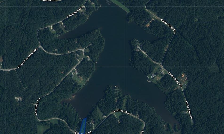 0 Excalibur Trail Cedar Grove, TN 38321 - Photo 10 of 10