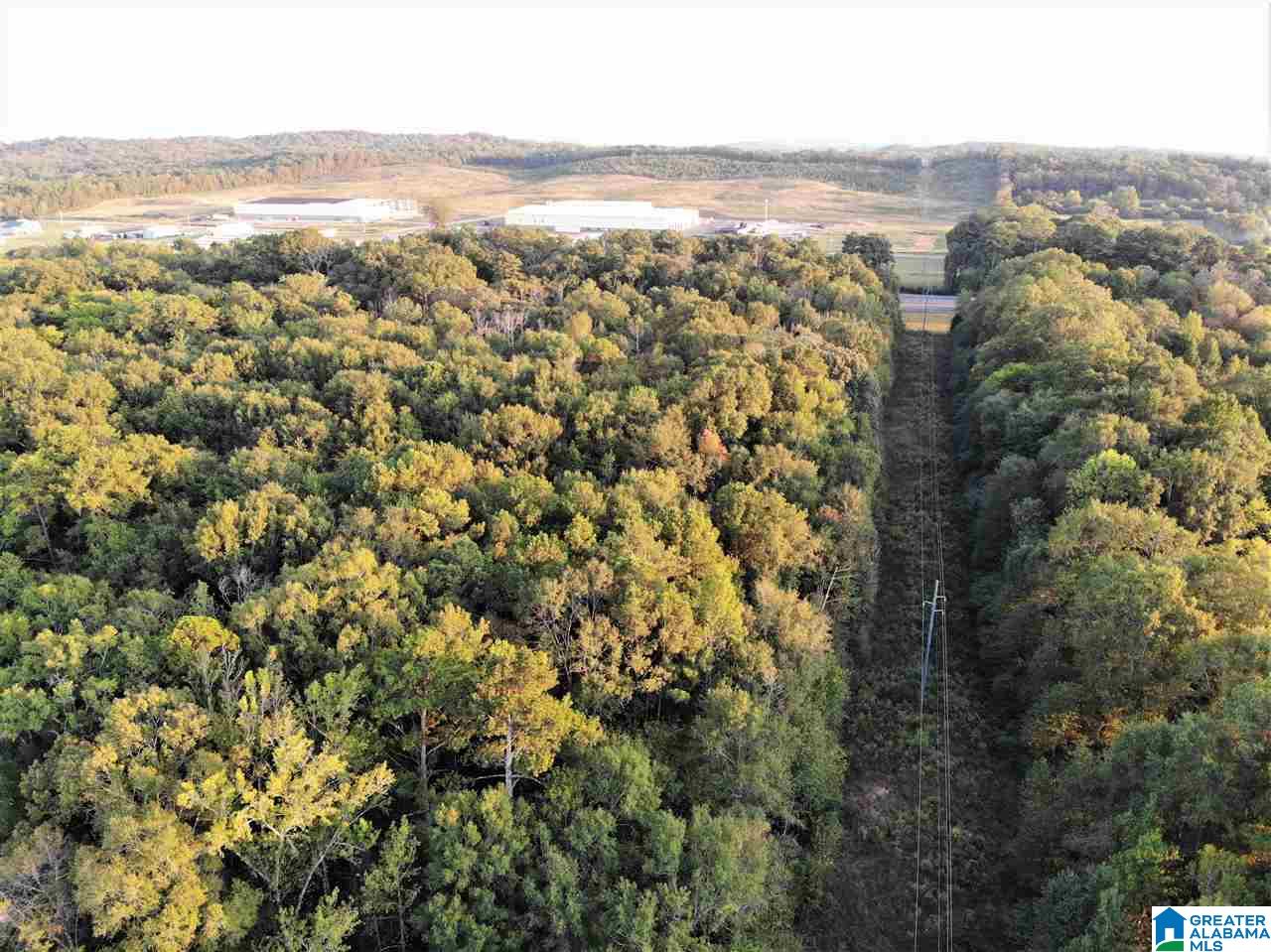 0 Blue Eye Springs Road, Unit 1 Lincoln, AL 35096 - Photo 8 of 24