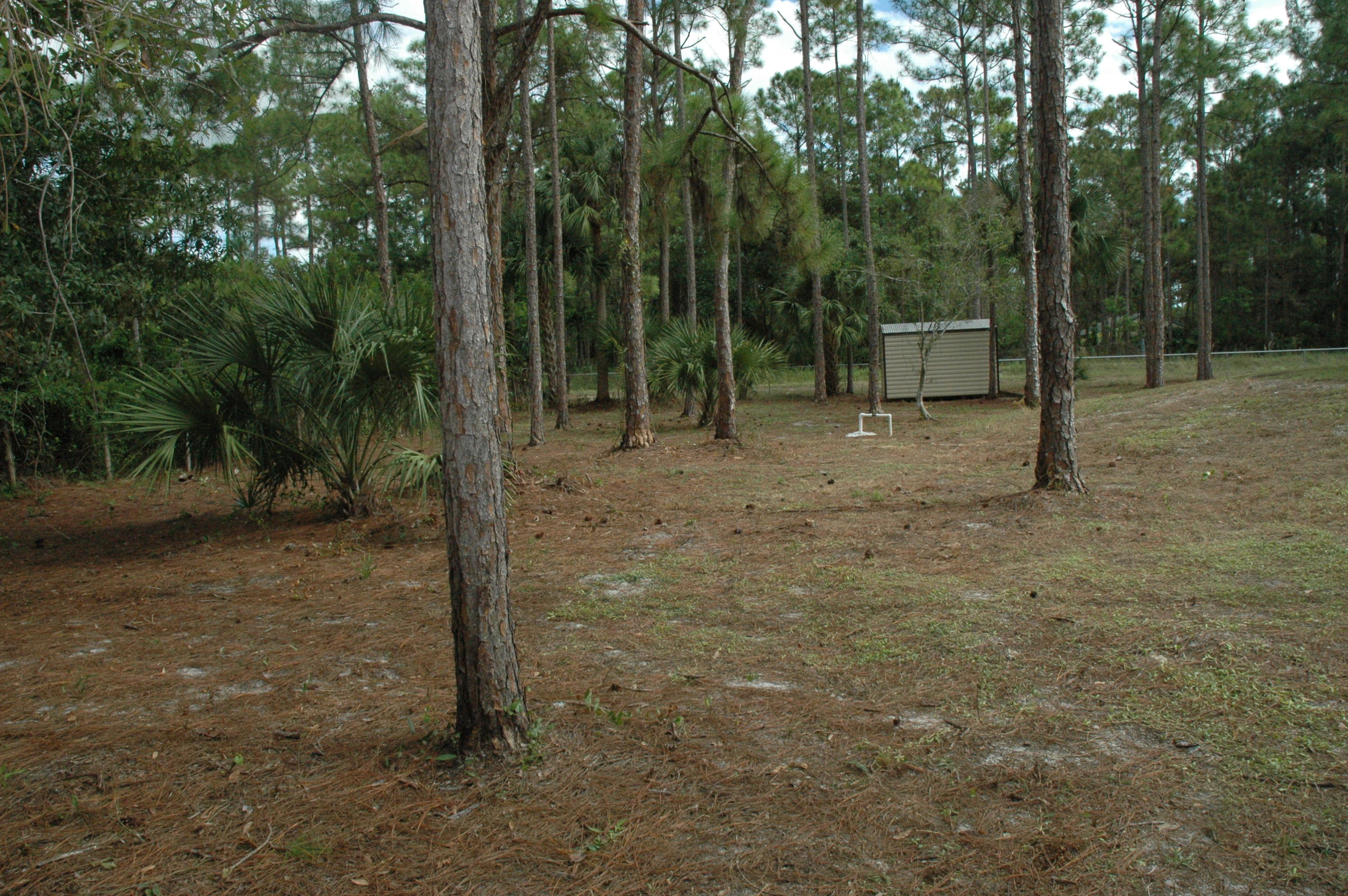 17275 72nd Road North Loxahatchee, FL 33470 - Photo 26 of 28 Back yard