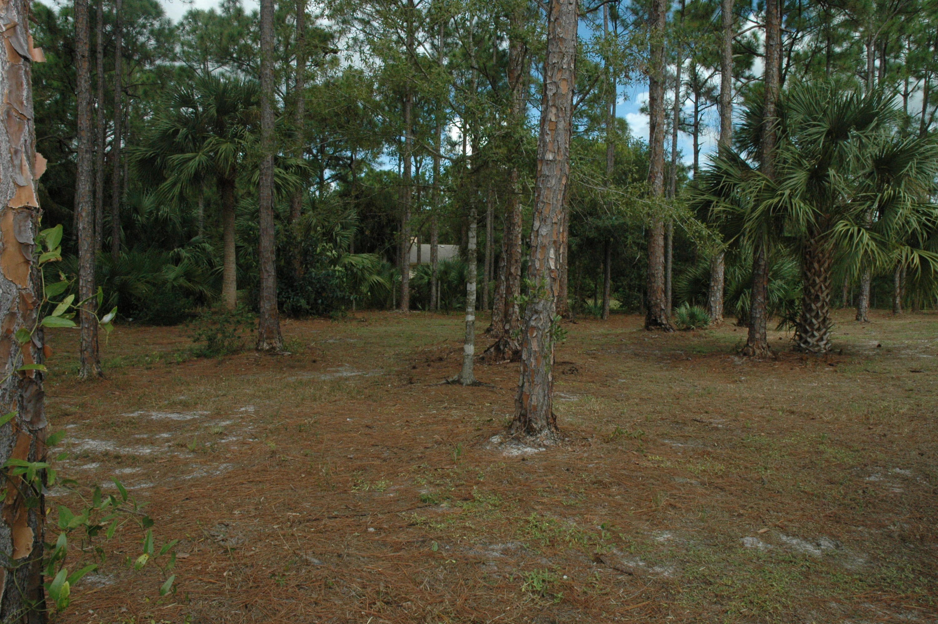 17275 72nd Road North Loxahatchee, FL 33470 - Photo 28 of 28 Backyard