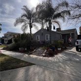 a view of street with tall trees