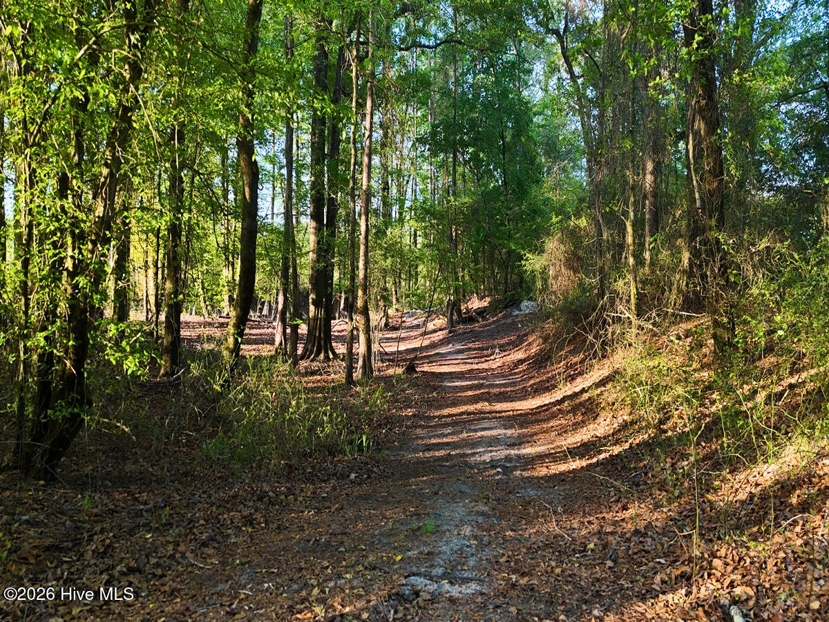 0 Durwood Evans Road Beulaville, NC 28518 - Photo 53 of 68 53. Riverfront Access Paths