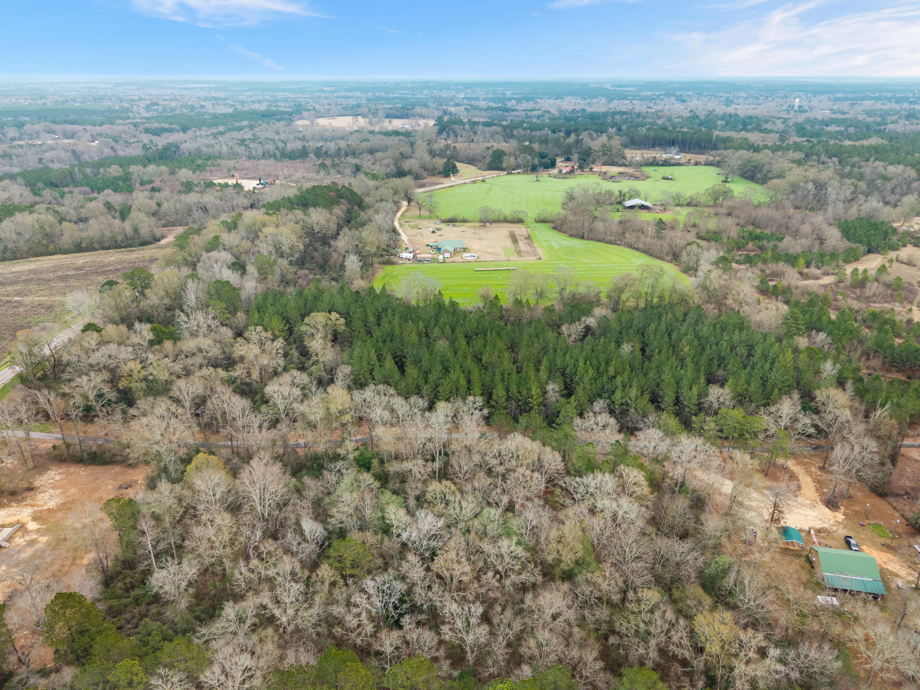 5.29 Mol Ac Nicholson Road Richton, MS 39476 - Photo 4 of 10 Gallery Image 4