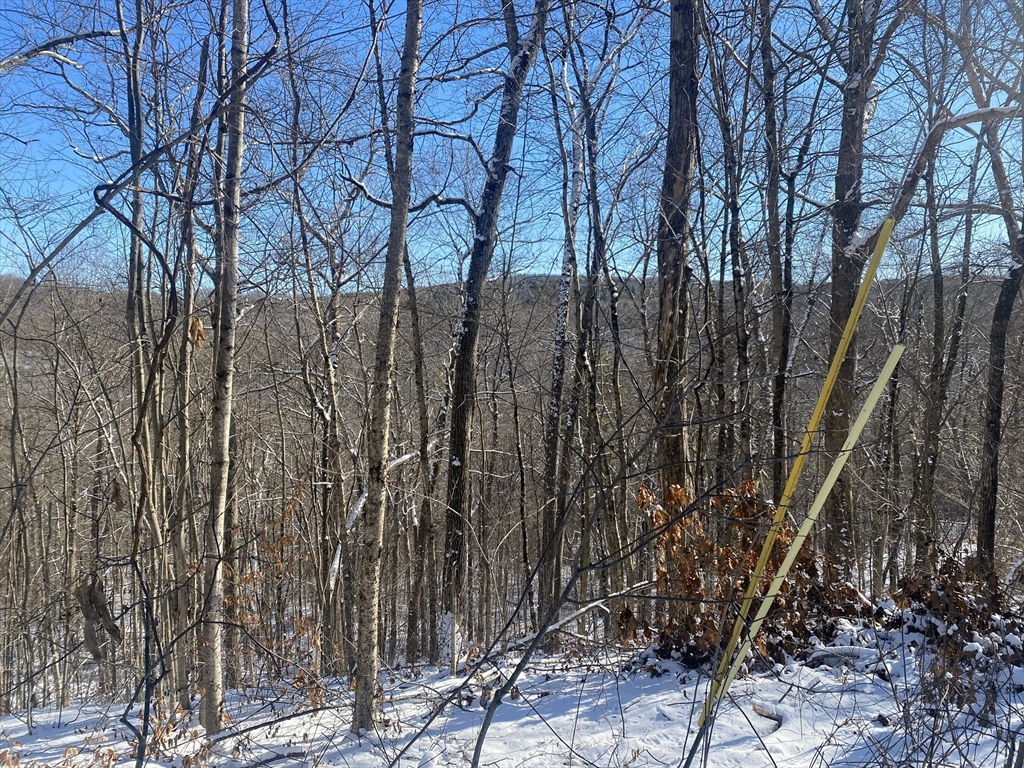 593 Old Warren Road Palmer, MA 01069 - Photo 2 of 8