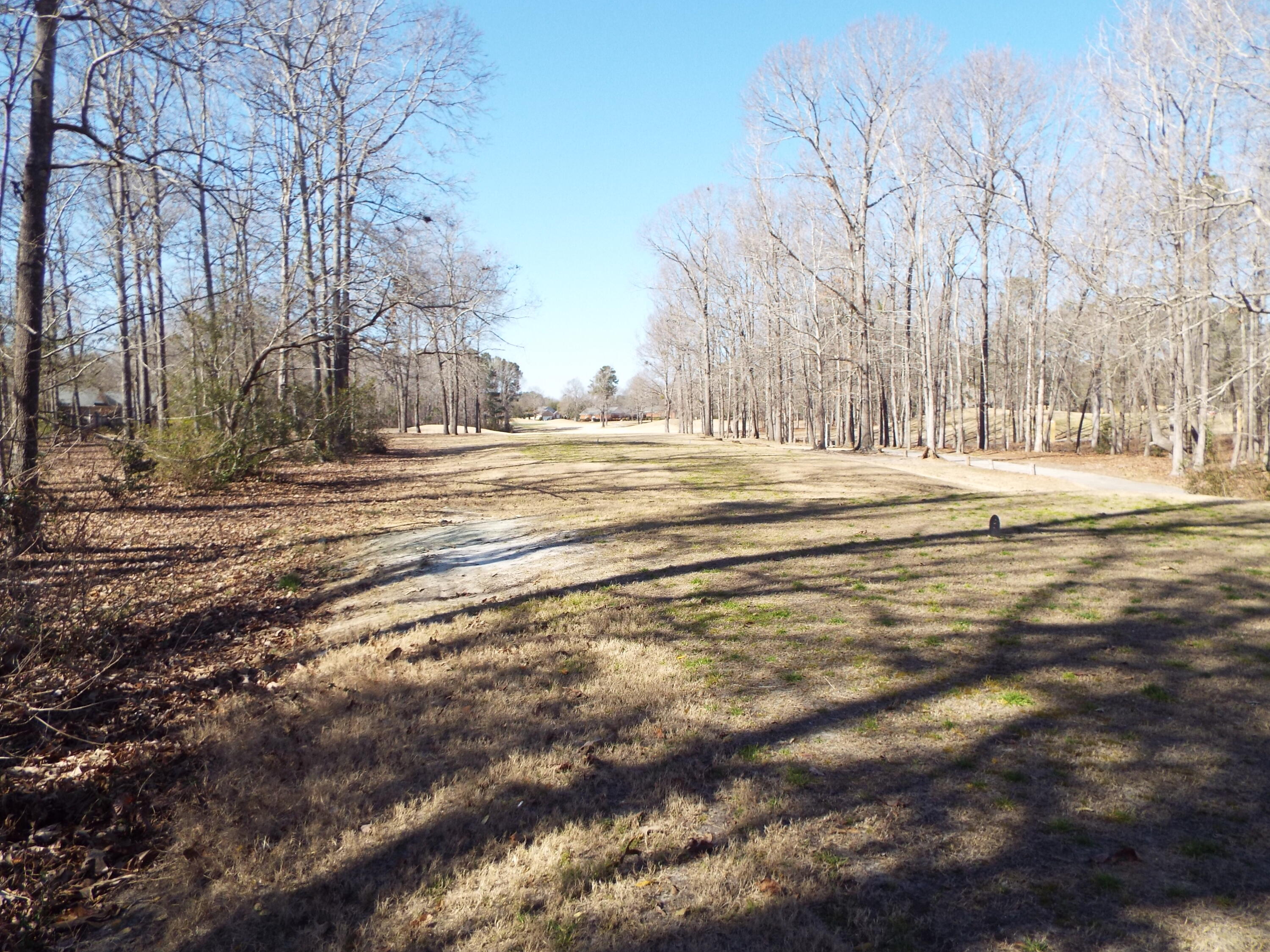 32 Ridge Lake Drive Manning, SC 29102 - Photo 1 of 9 DSCF9581