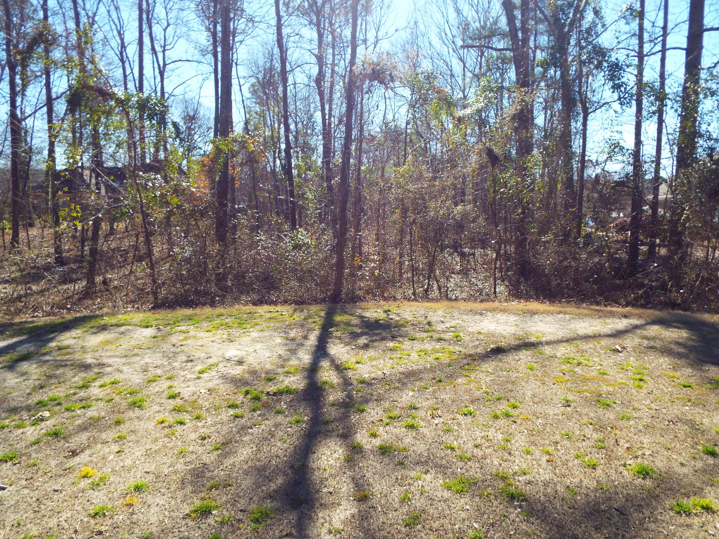 32 Ridge Lake Drive Manning, SC 29102 - Photo 2 of 9 DSCF9582