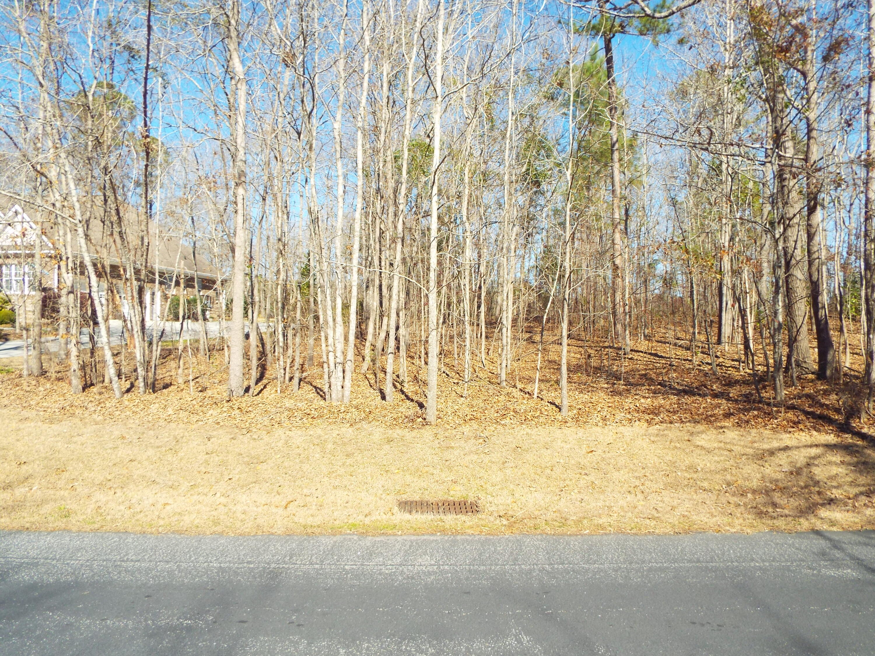 32 Ridge Lake Drive Manning, SC 29102 - Photo 3 of 9 DSCF9575