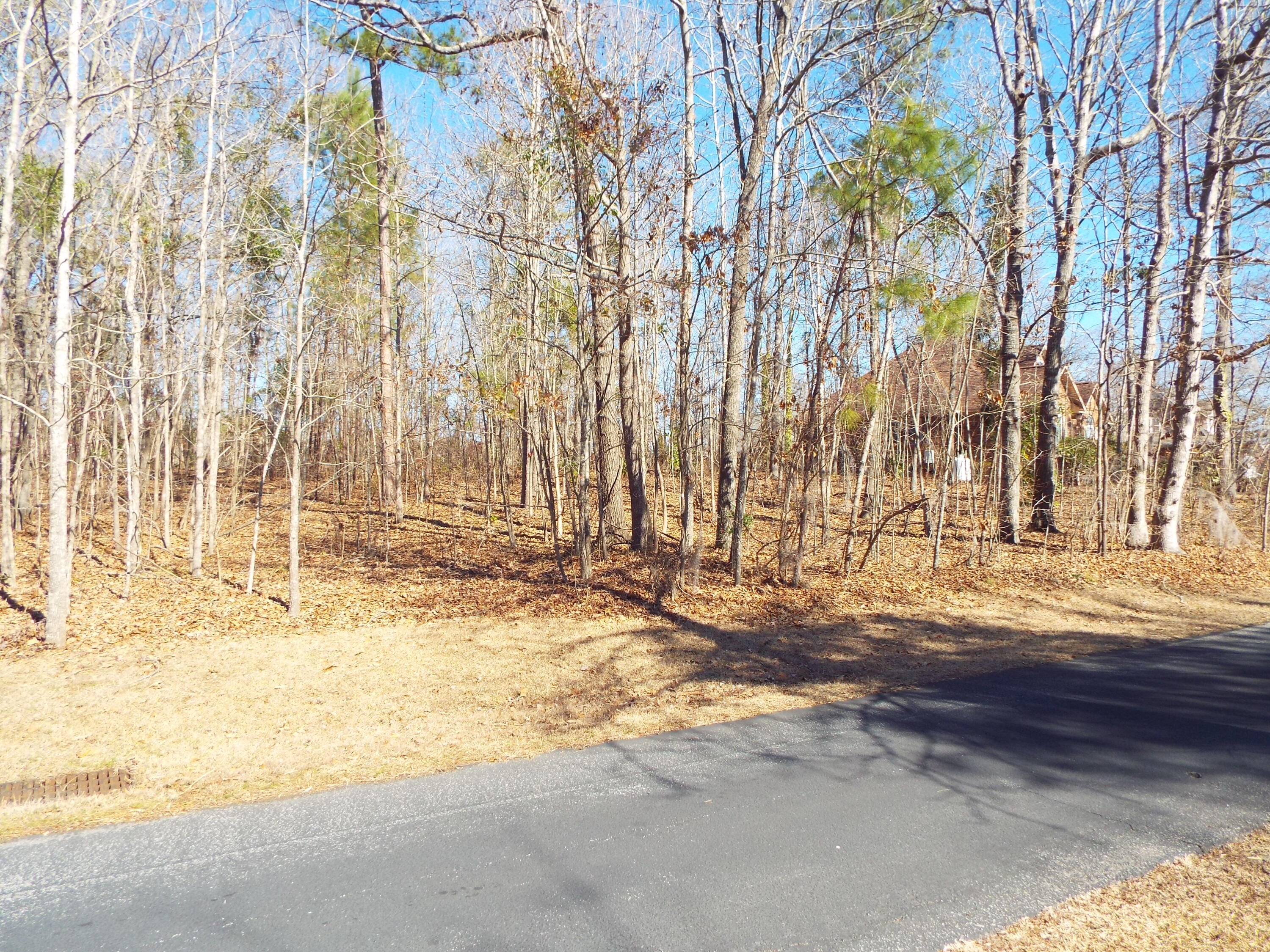 32 Ridge Lake Drive Manning, SC 29102 - Photo 4 of 9 DSCF9576