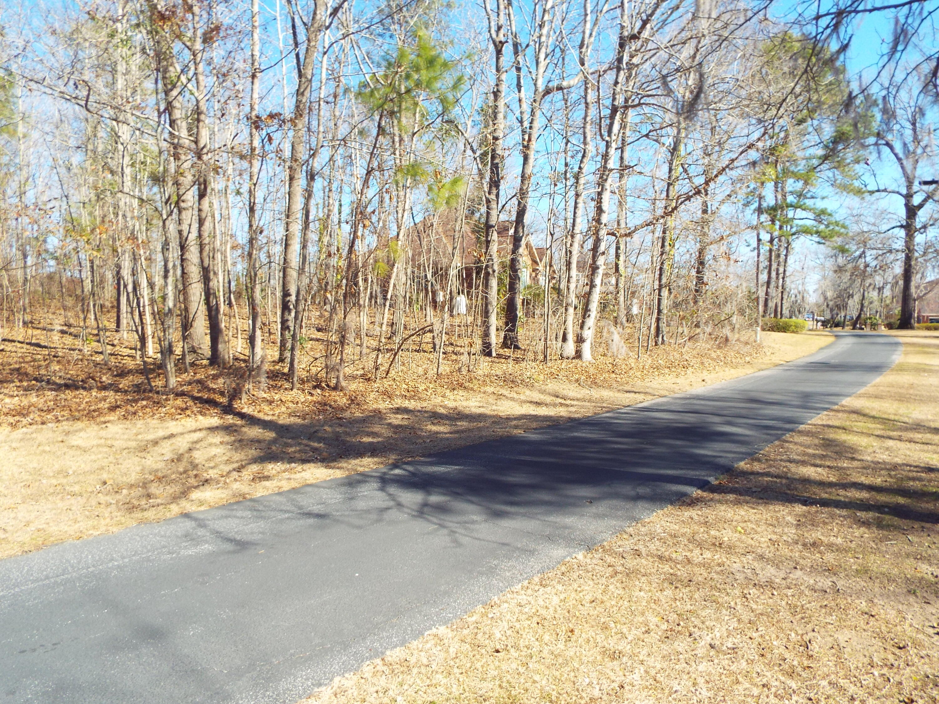 32 Ridge Lake Drive Manning, SC 29102 - Photo 5 of 9 DSCF9577