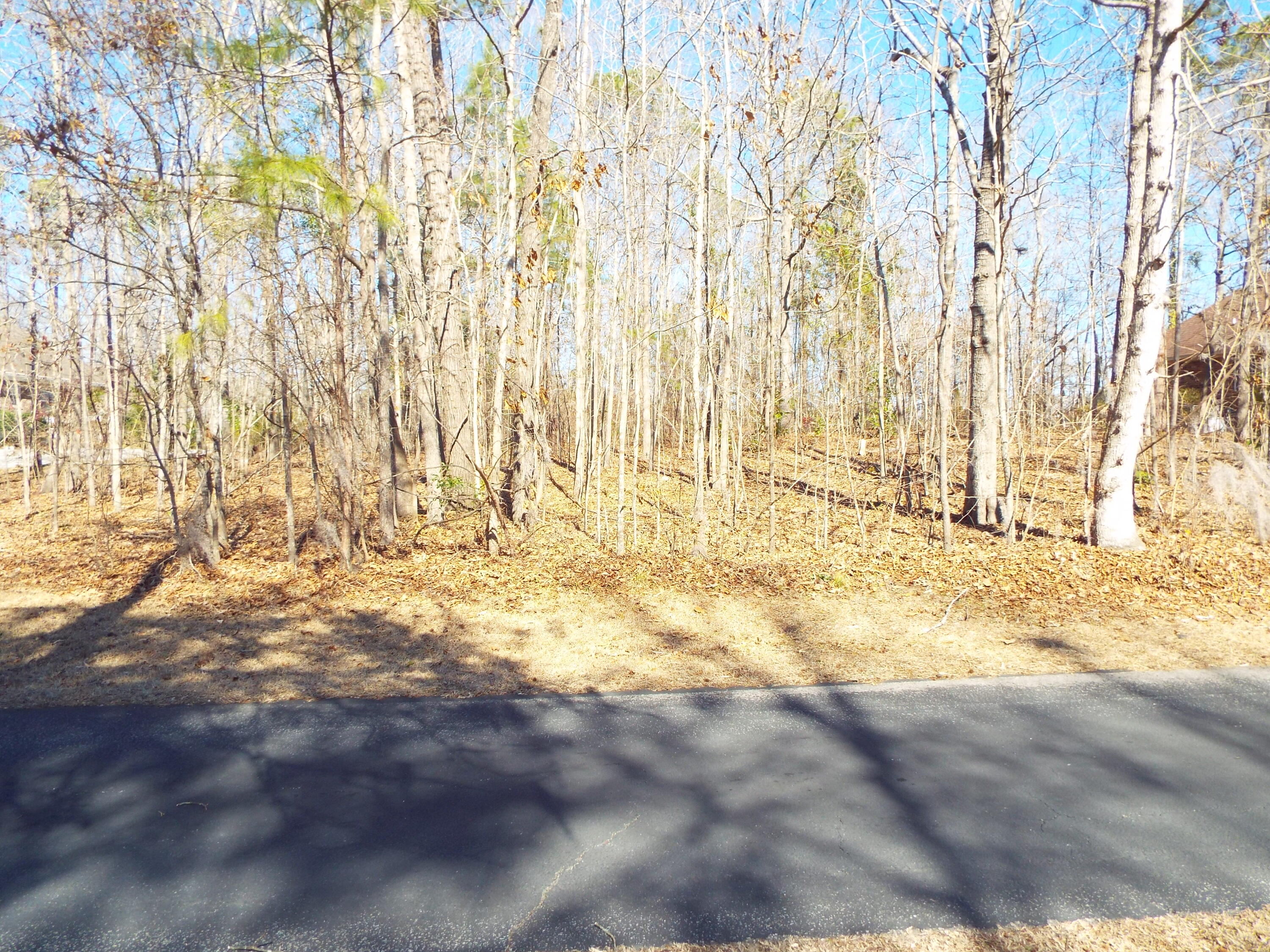 32 Ridge Lake Drive Manning, SC 29102 - Photo 6 of 9 DSCF9578