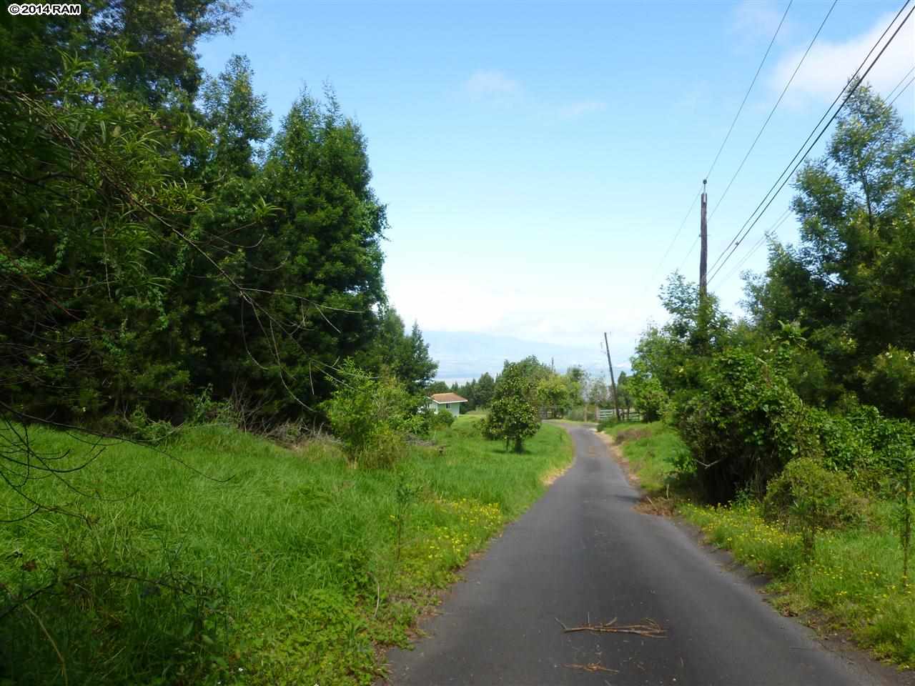 Middle Road Kula, HI 96790 - Photo 3 of 7 a view of a road with a yard
