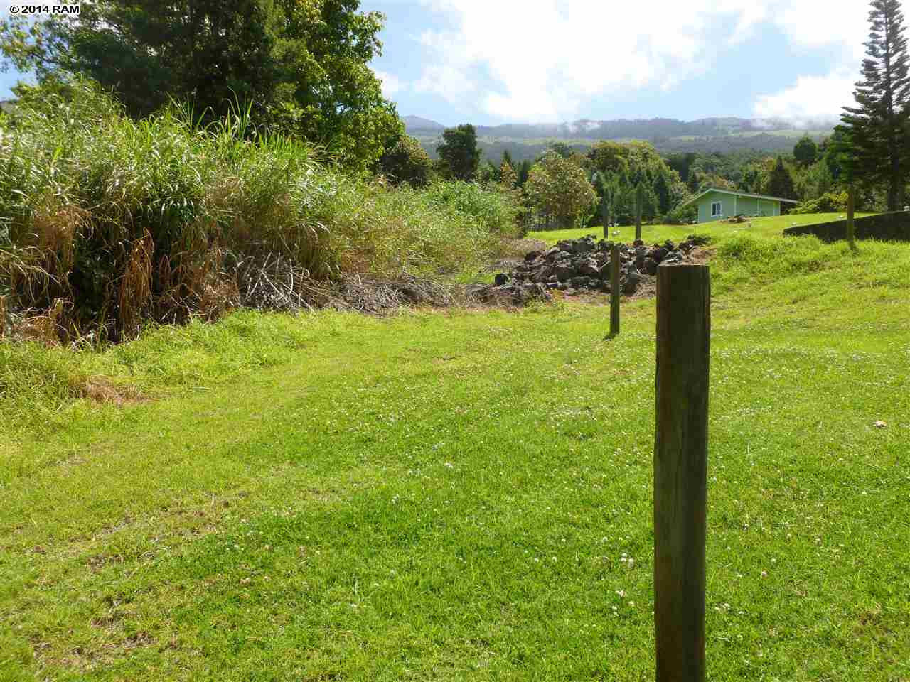 Middle Road Kula, HI 96790 - Photo 5 of 7 a view of a garden