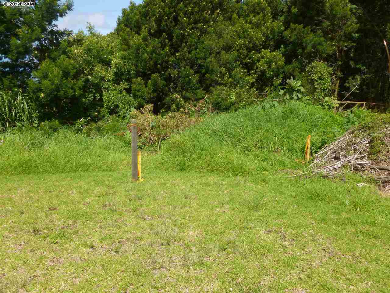Middle Road Kula, HI 96790 - Photo 6 of 7 a view of a trees with a yard