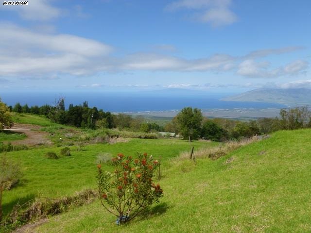 Middle Road Kula, HI 96790 - Photo 7 of 7 a view of an outdoor space and a yard