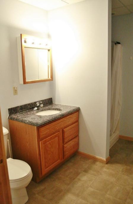 8176 Schmeid Road Lakeview, MI 48850 - Photo 6 of 32 shmied RDDD 006