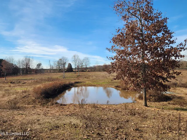 $150,000 | 0 Steward Road, Senatobia, MS 38668
