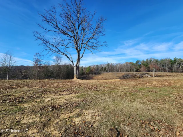$150,000 | 0 Steward Road, Senatobia, MS 38668