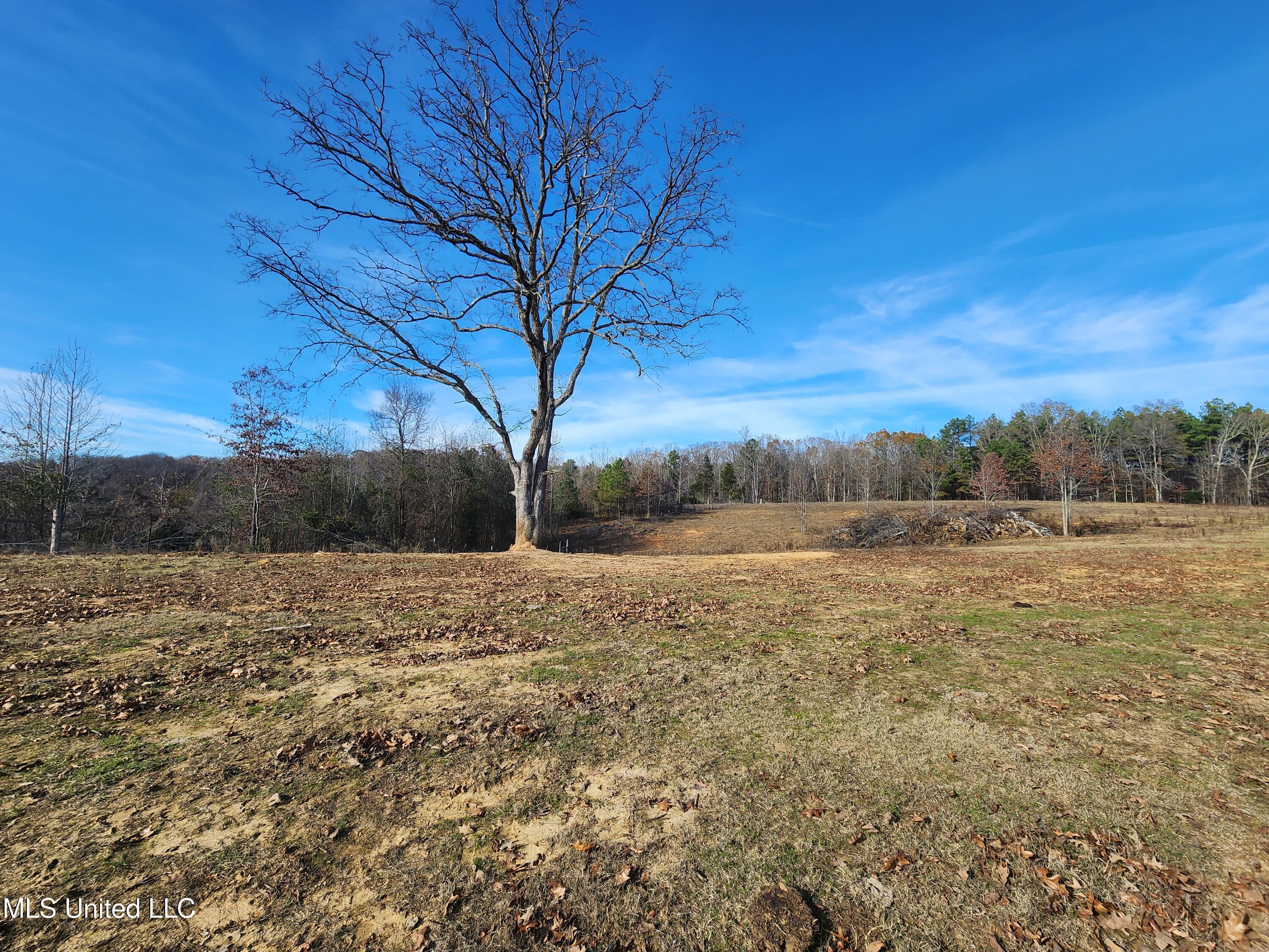 0 Steward Road Senatobia, MS 38668 - Photo 12 of 24 20251211_134655
