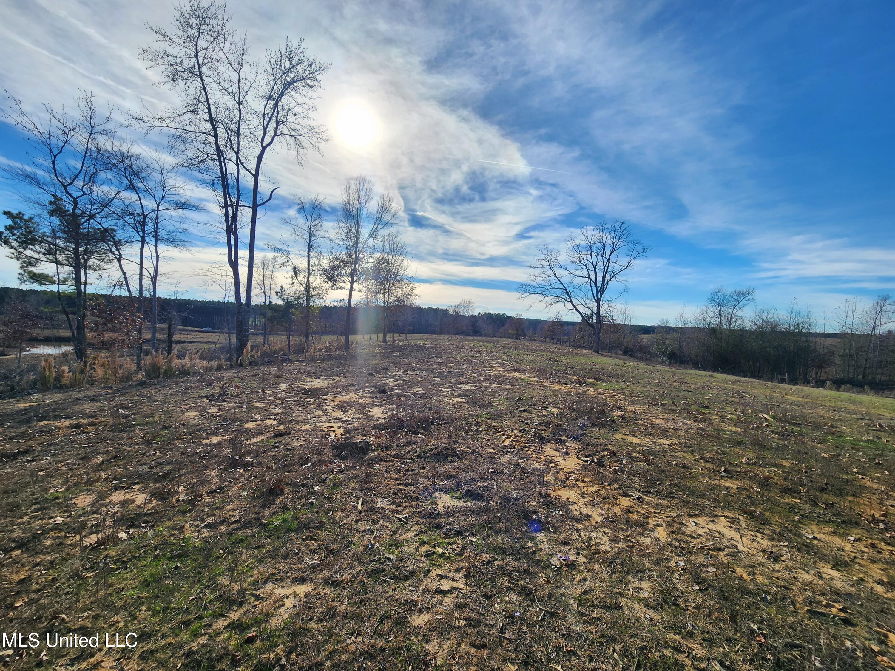 0 Steward Road Senatobia, MS 38668 - Photo 13 of 24 20251211_134802