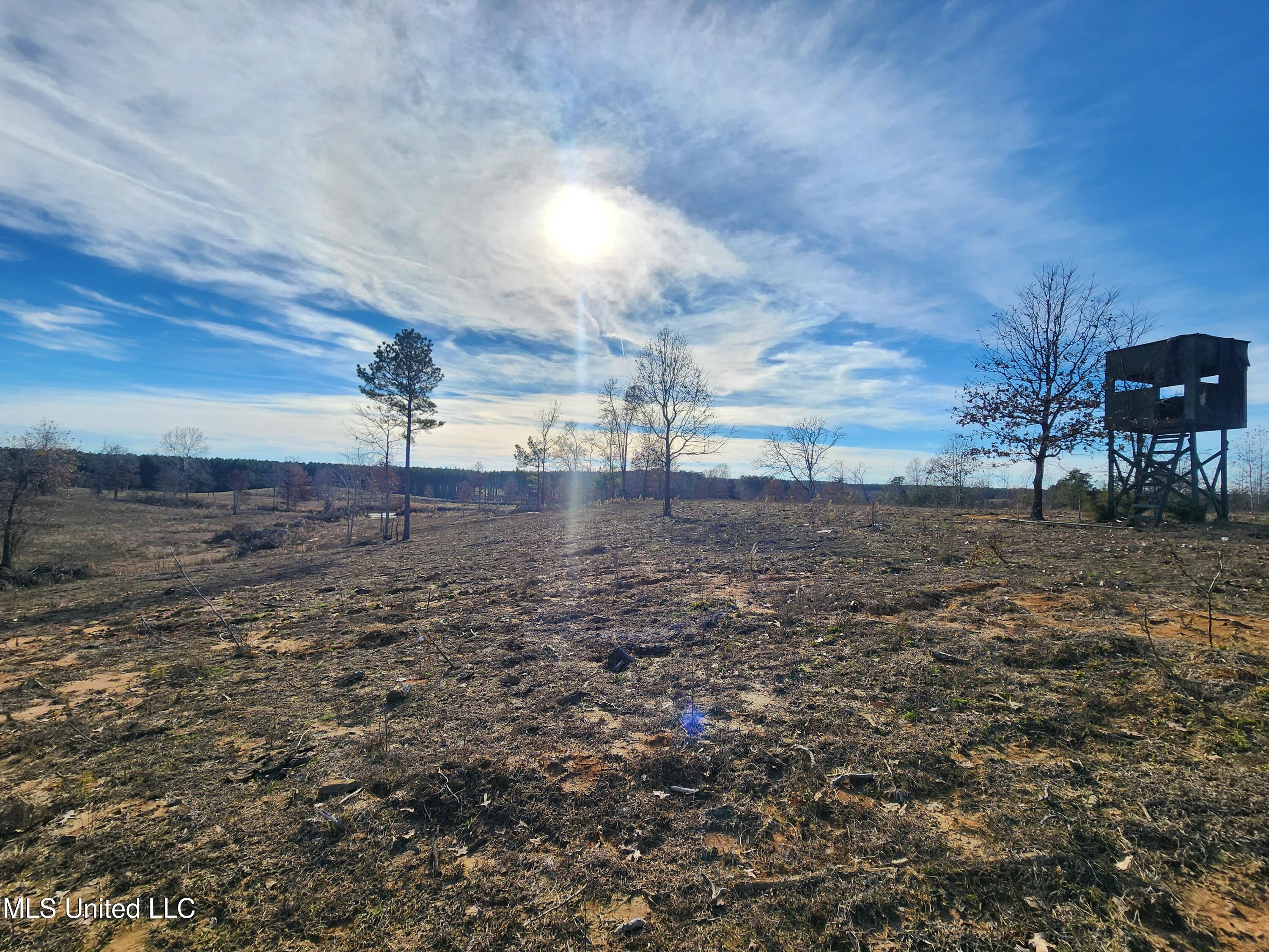 0 Steward Road Senatobia, MS 38668 - Photo 14 of 24 20251211_134932