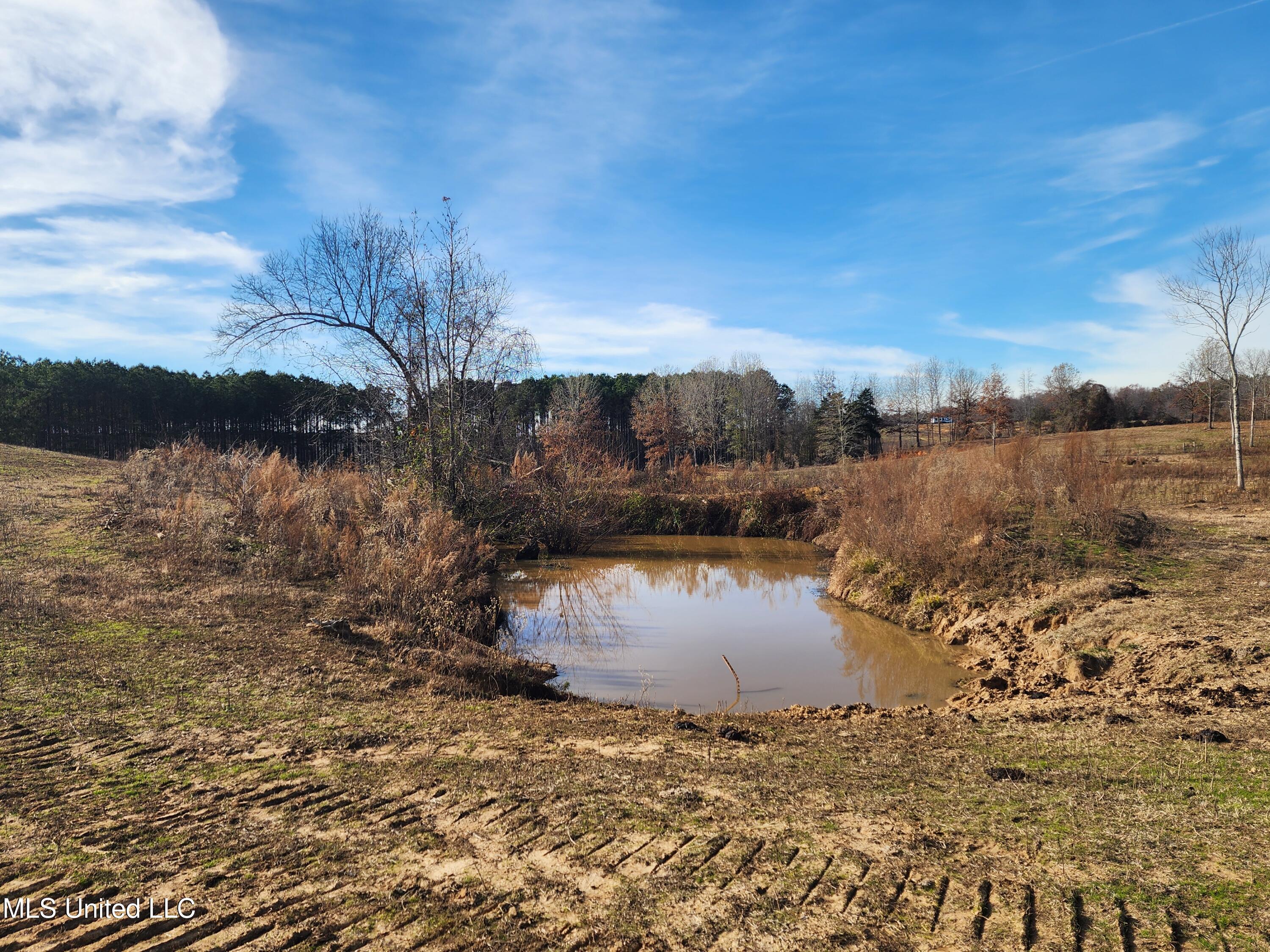 0 Steward Road Senatobia, MS 38668 - Photo 15 of 24 20251211_134222
