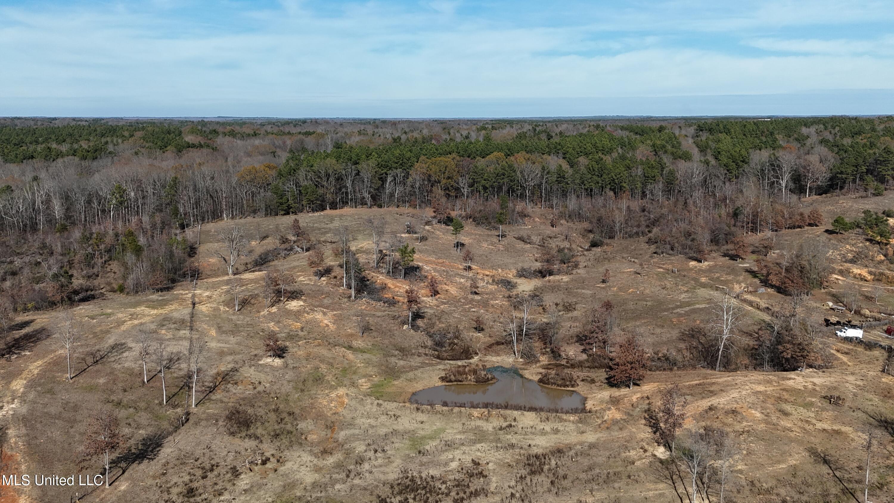 0 Steward Road Senatobia, MS 38668 - Photo 16 of 24 DJI_20251211134606_0724_D
