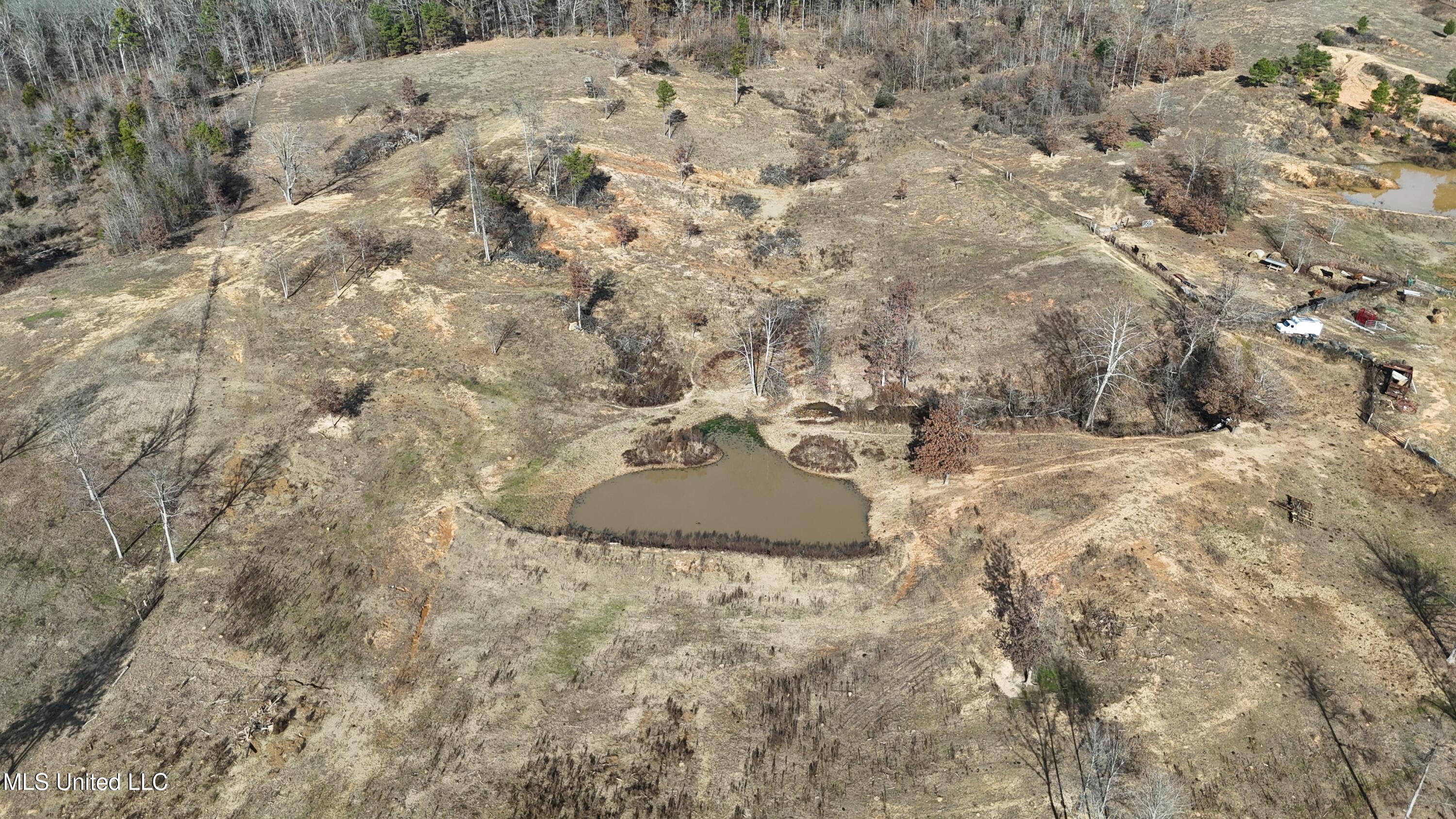 0 Steward Road Senatobia, MS 38668 - Photo 17 of 24 DJI_20251211140438_0730_D