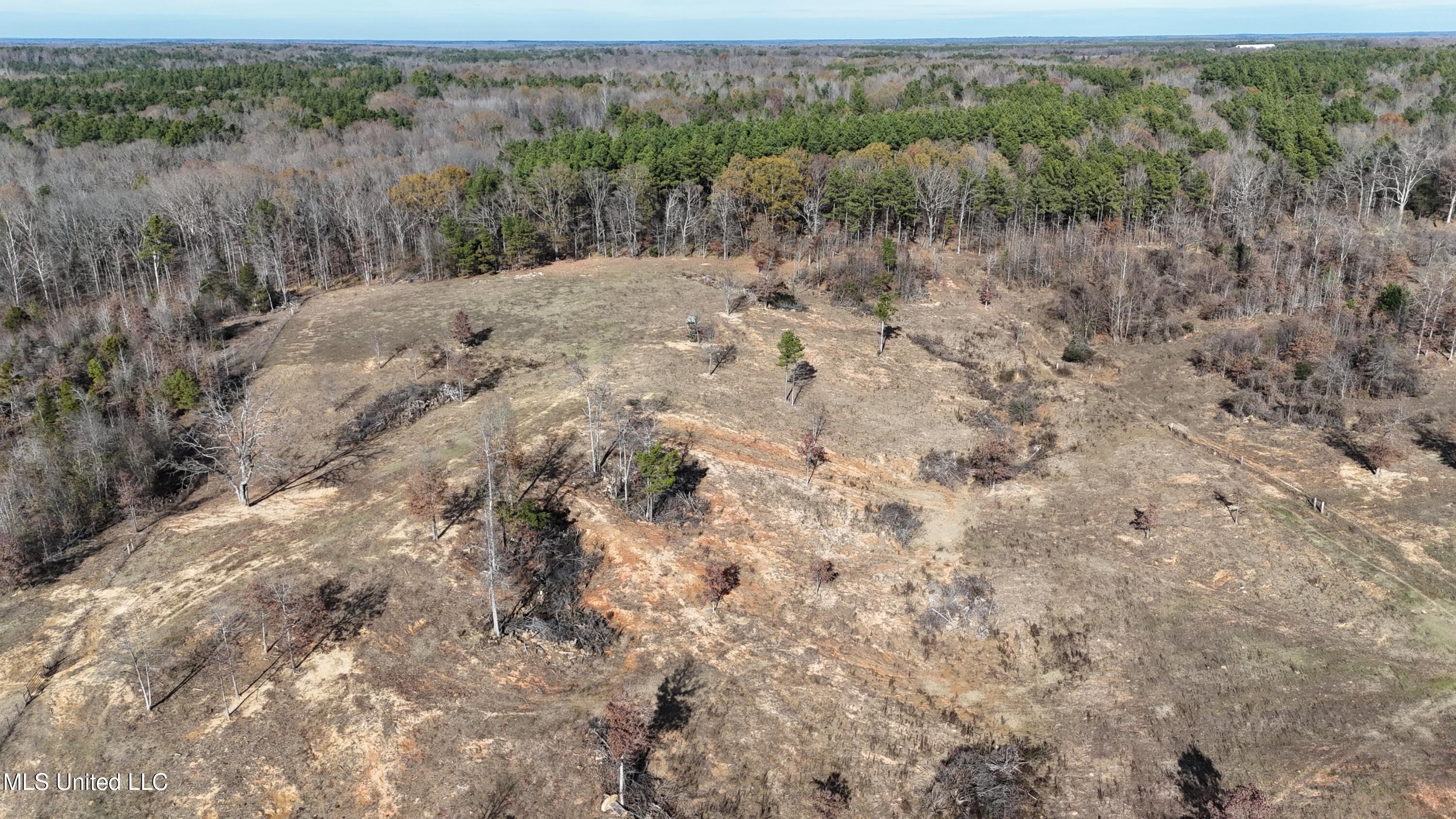 0 Steward Road Senatobia, MS 38668 - Photo 18 of 24 DJI_20251211140514_0731_D