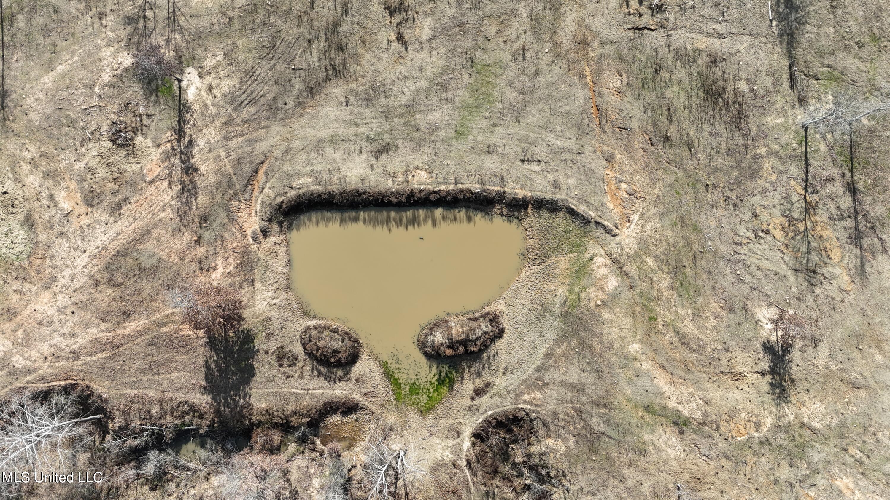 0 Steward Road Senatobia, MS 38668 - Photo 21 of 24 DJI_20251211140744_0738_D