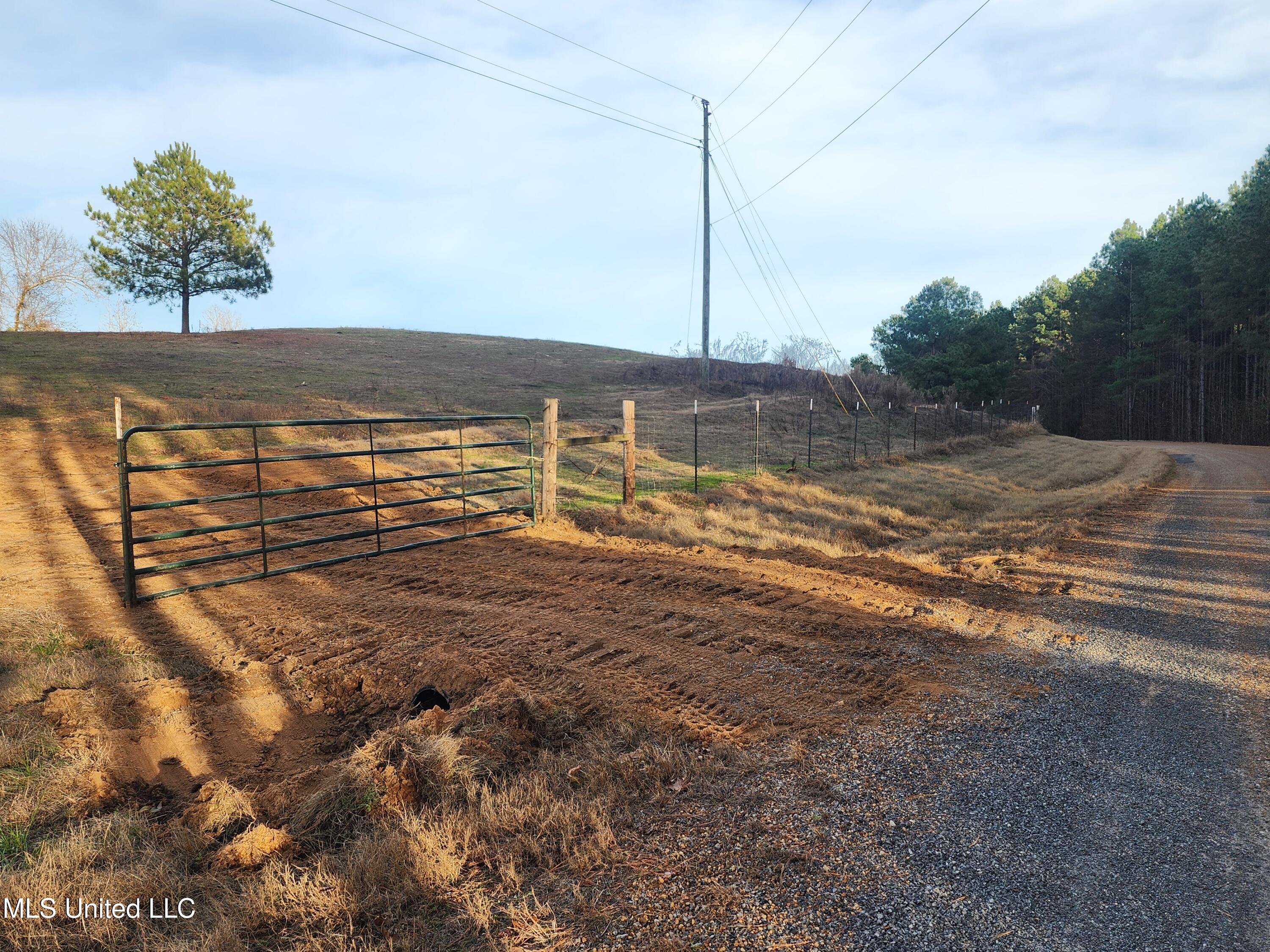 0 Steward Road Senatobia, MS 38668 - Photo 22 of 24 20251211_154242