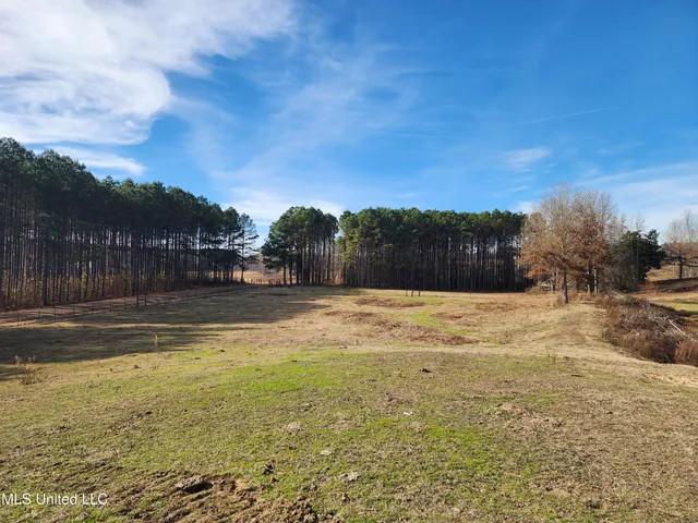 $150,000 | 0 Steward Road, Senatobia, MS 38668
