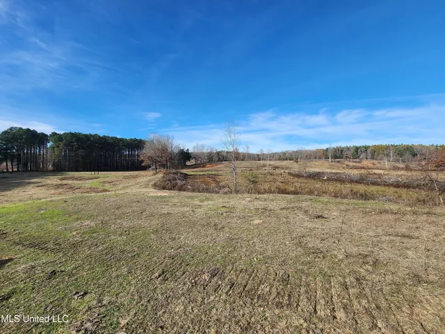 $150,000 | 0 Steward Road, Senatobia, MS 38668