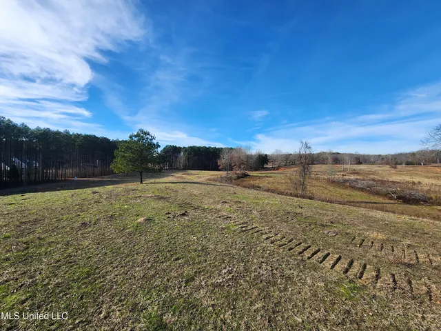 $150,000 | 0 Steward Road, Senatobia, MS 38668