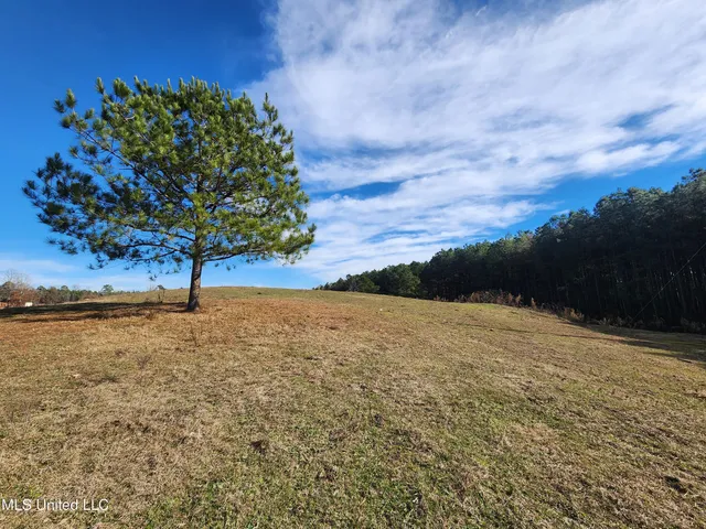 $150,000 | 0 Steward Road, Senatobia, MS 38668