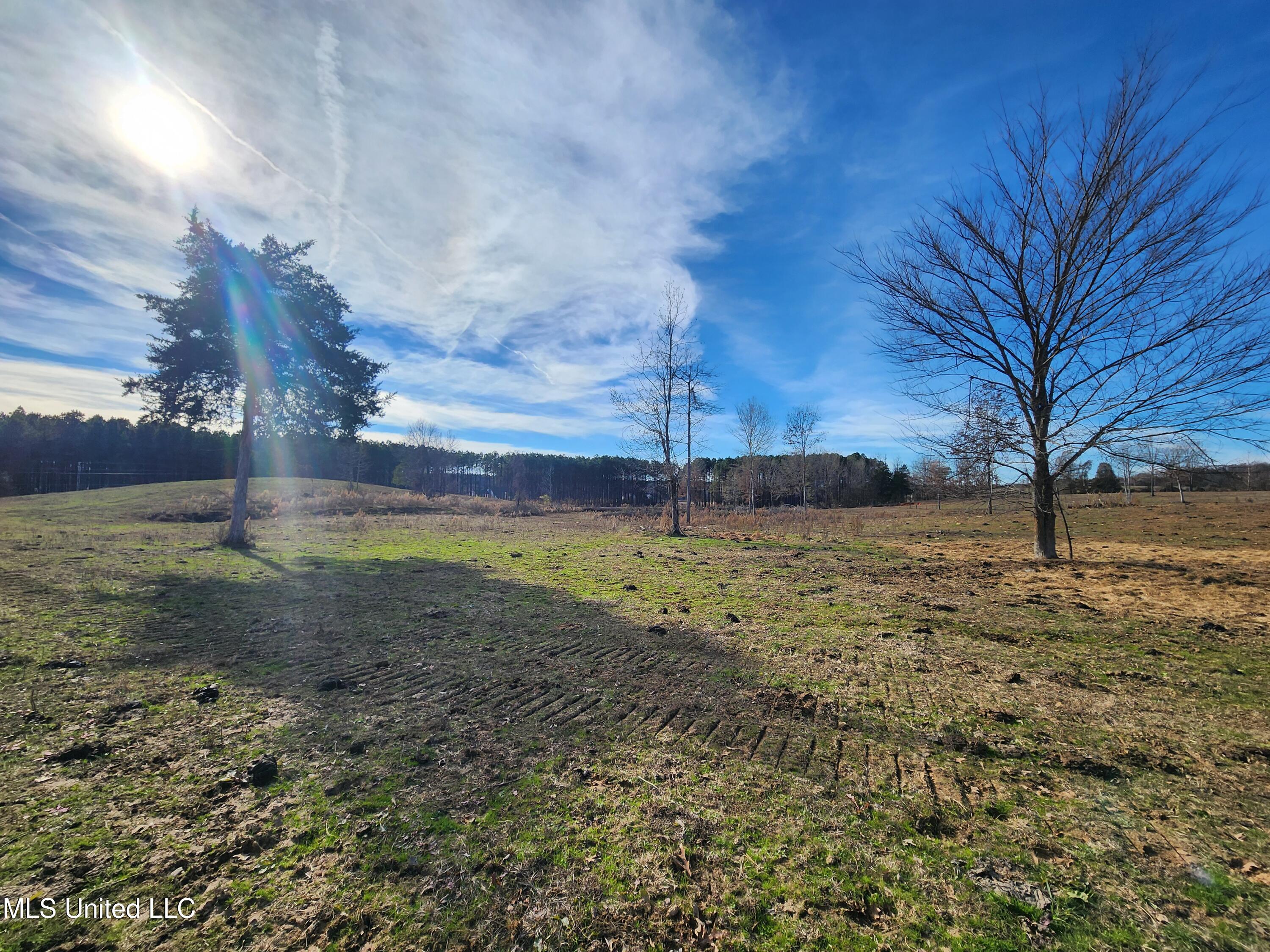 0 Steward Road Senatobia, MS 38668 - Photo 7 of 24 20251211_134251