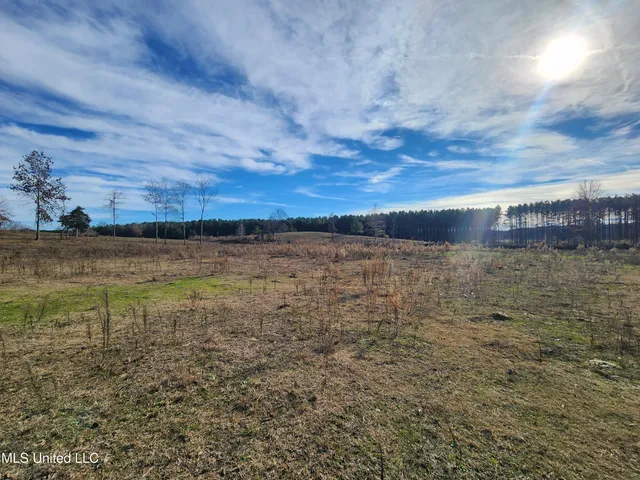 $150,000 | 0 Steward Road, Senatobia, MS 38668