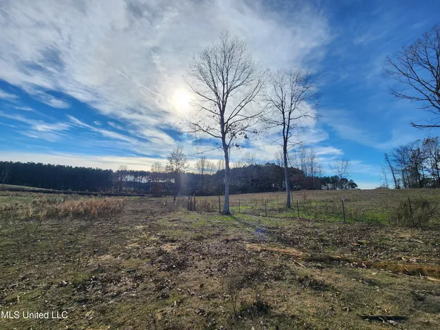 $150,000 | 0 Steward Road, Senatobia, MS 38668