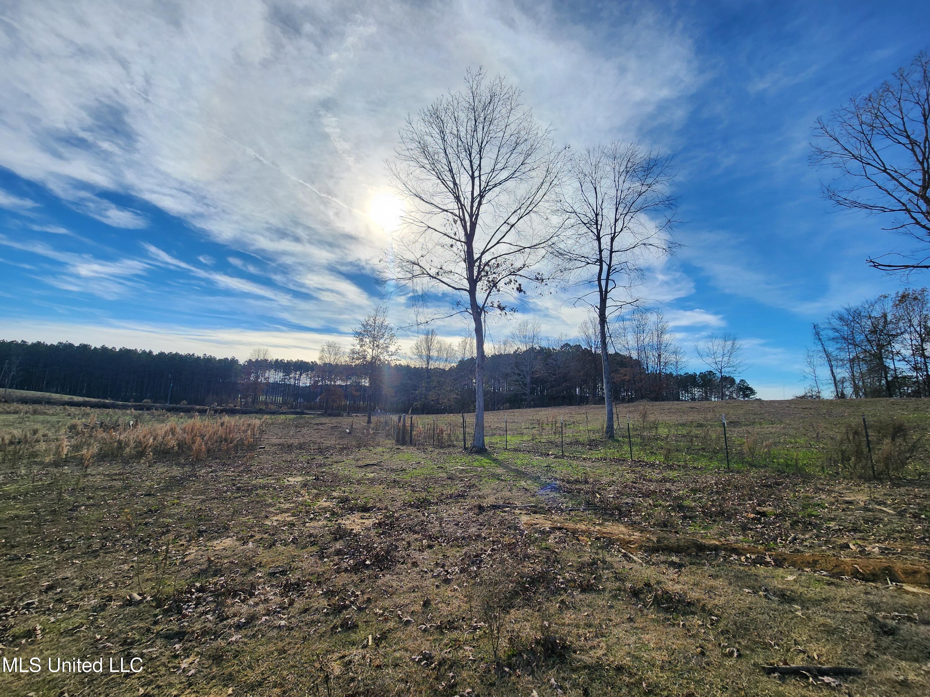 0 Steward Road Senatobia, MS 38668 - Photo 9 of 24 20251211_134449