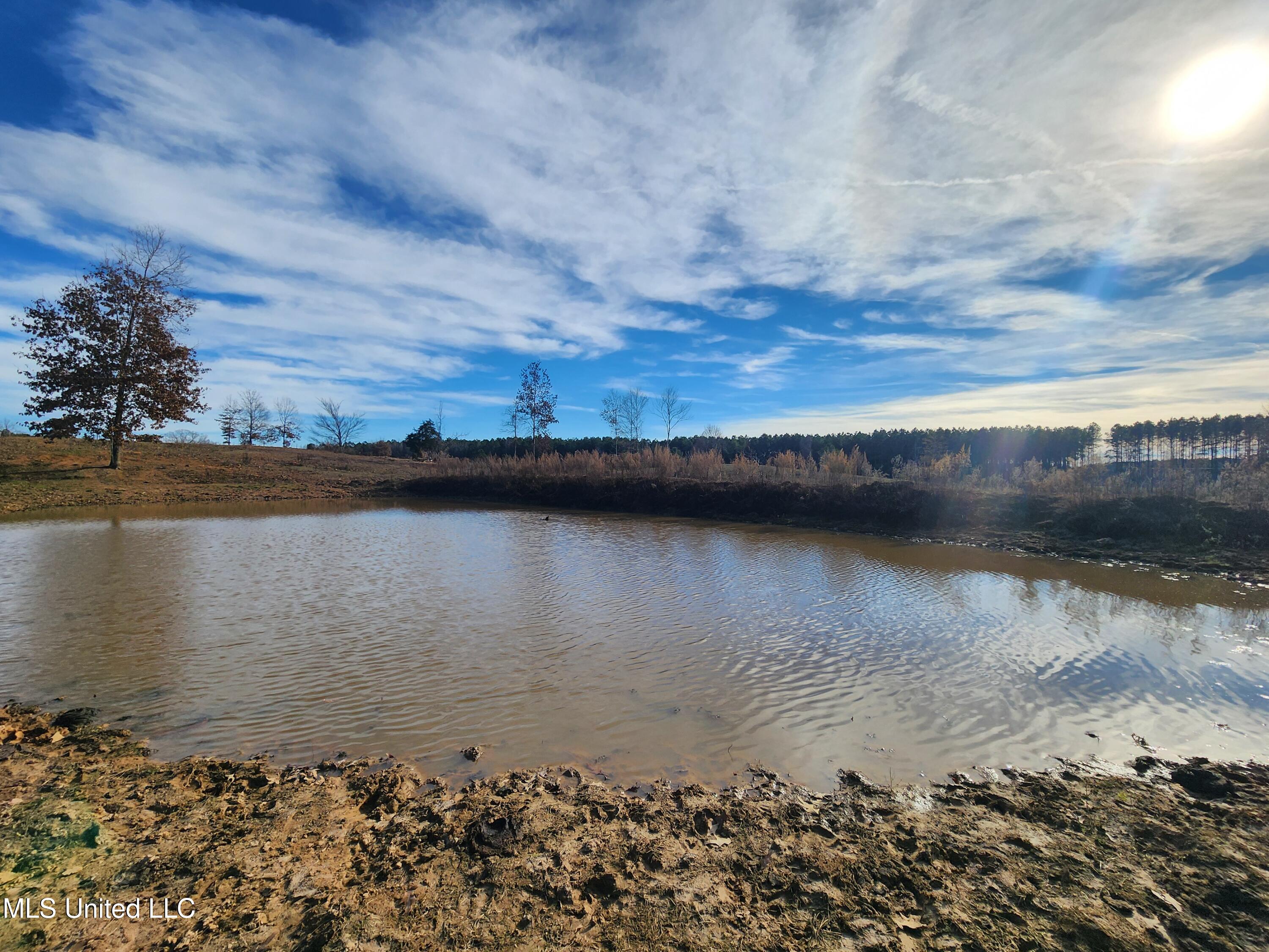 0 Steward Road Senatobia, MS 38668 - Photo 10 of 24 20251211_134558