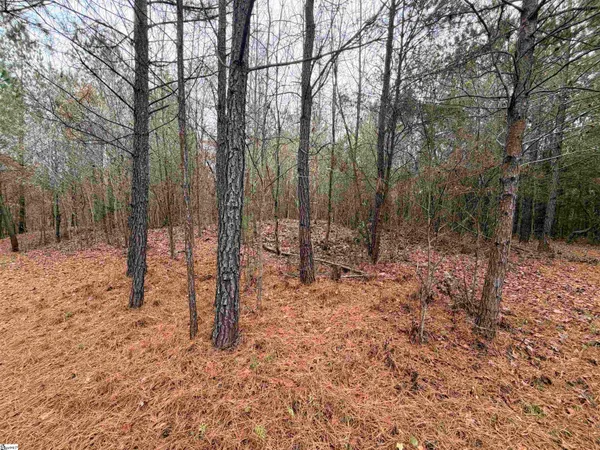 $1,900,000 | 0 Cardinal Drive, Easley, SC 29642