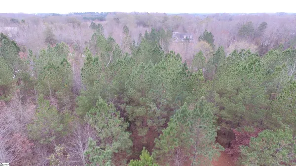 $1,900,000 | 0 Cardinal Drive, Easley, SC 29642