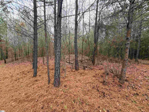 $1,900,000 | 0 Cardinal Drive, Easley, SC 29642