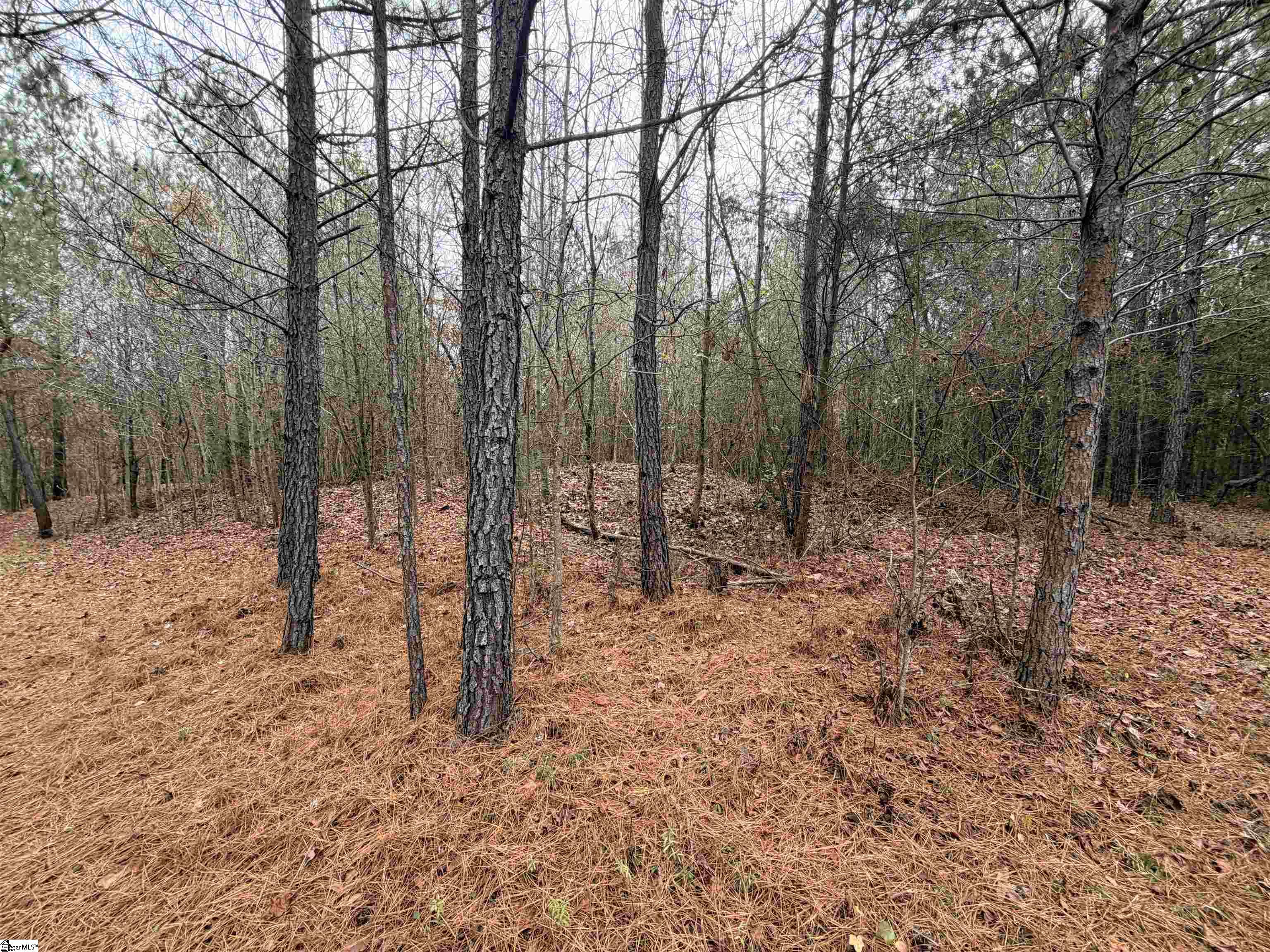 0 Cardinal Drive Easley, SC 29642 - Photo 10 of 11