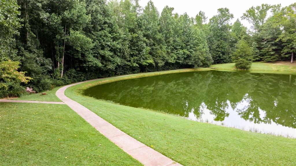 6654 Windvane Point Clermont, GA 30527 - Photo 64 of 70