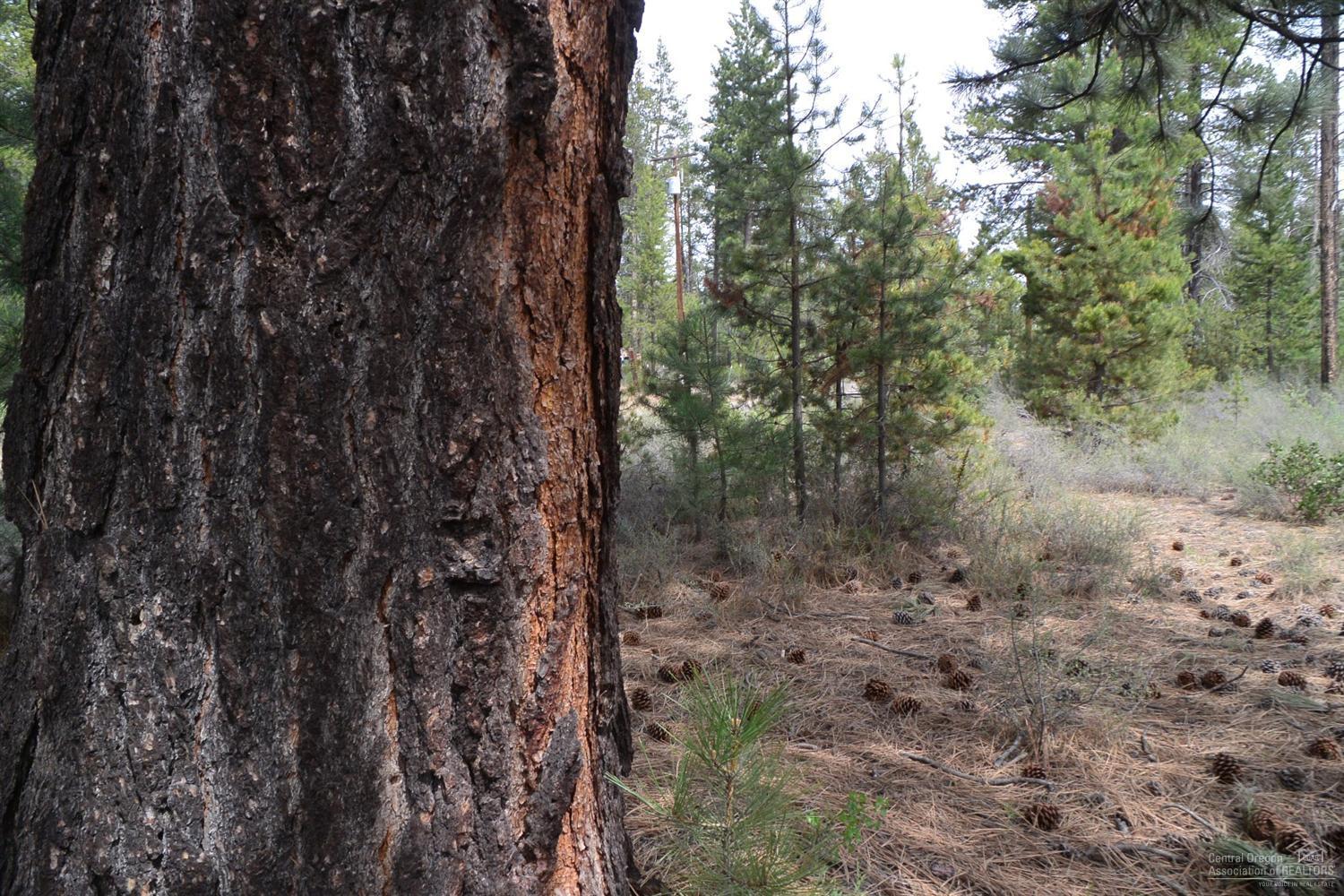 15891 Jackpine Road La Pine, OR 97739 - Photo 12 of 25 Additional Photo