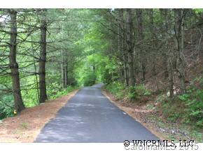 Tbd Walnut Ridge Drive, Unit 2A Clyde, NC 28721 - Photo 4 of 6 a view of a forest with trees