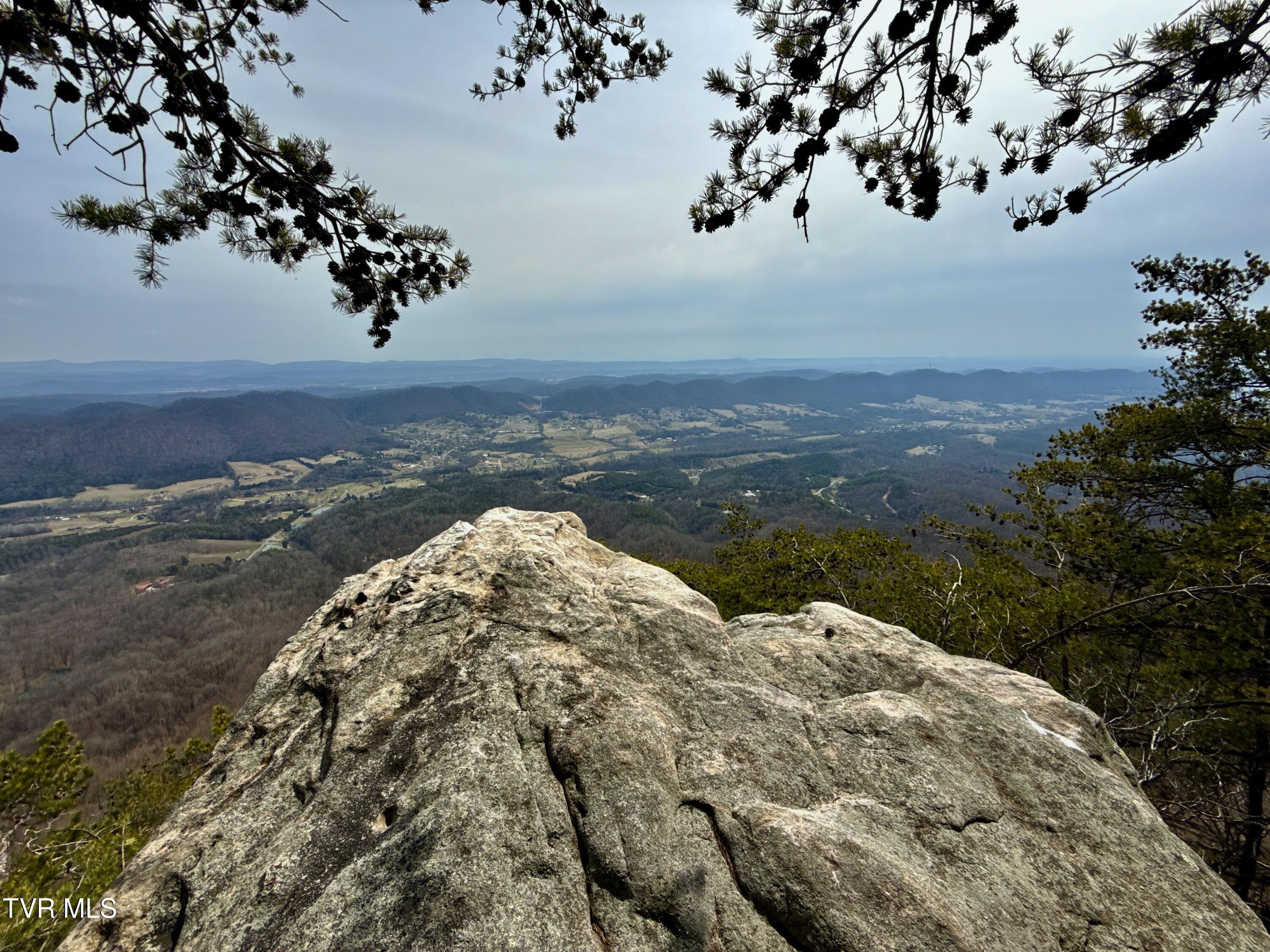 605 Devils Nose Road, Unit 2 Rogersville, TN 37857 - Photo 1 of 85 _Pic1 (55)